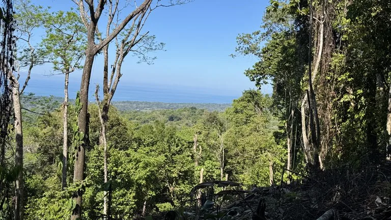 Unique Opportunity, Panoramic Ocean Views of the Whale's Tail Beach!, photo 5