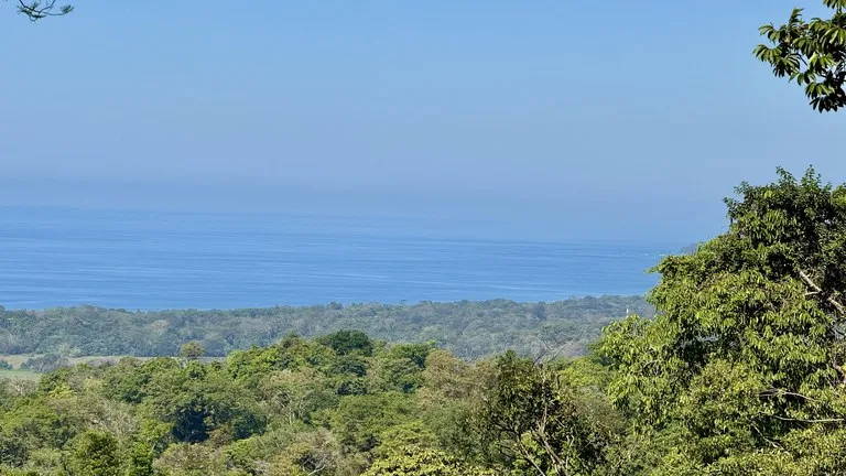 Unique Opportunity, Panoramic Ocean Views of the Whale's Tail Beach!, photo 7