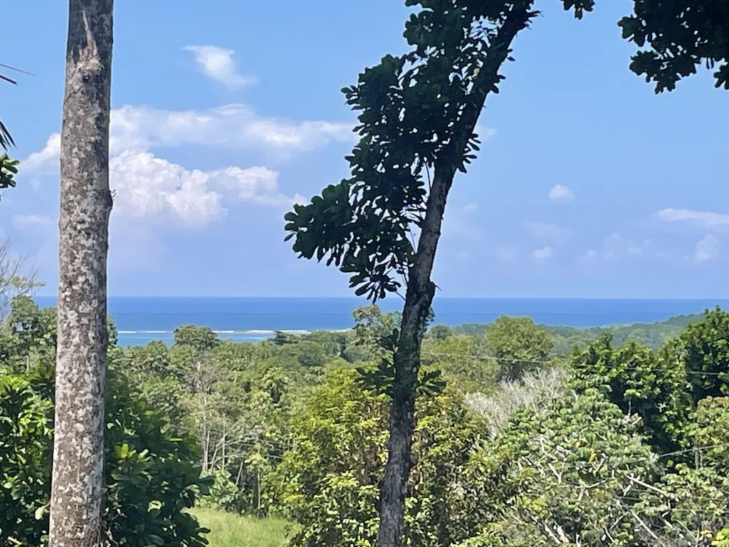 BRAND NEW 4 BEDROOM HOME WITH BEAUTIFUL OCEAN VIEWS MINUTES TO UVITA TOWN, photo 3