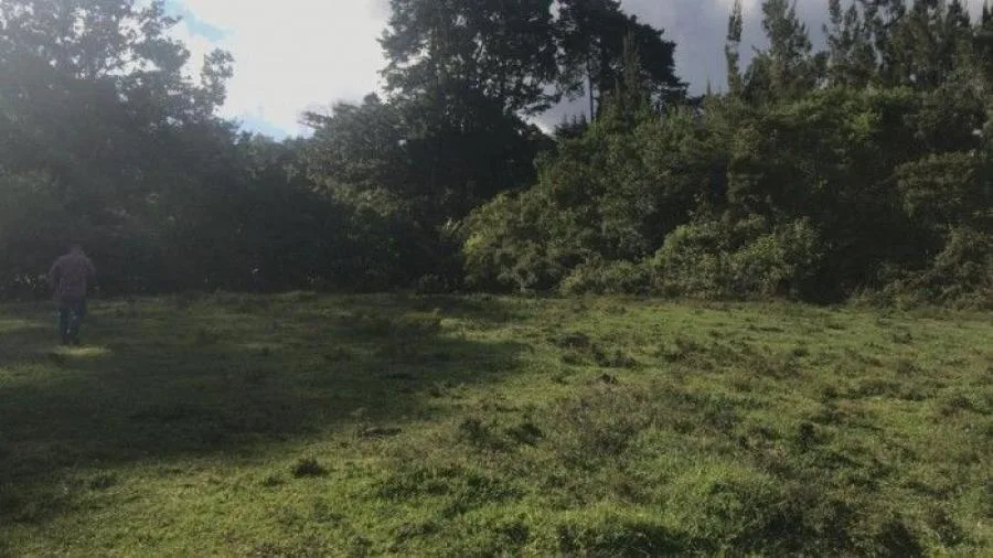 Lote Residencial En Venta San Isidro Heredia Costa Rica; Idi: 114952 - Venta en San Isidro