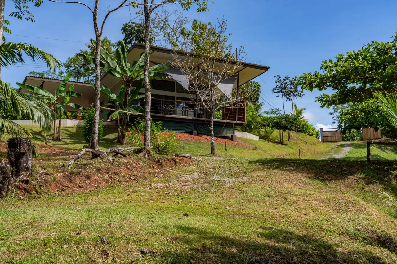 Casa Mirador, Jungle and privacy!