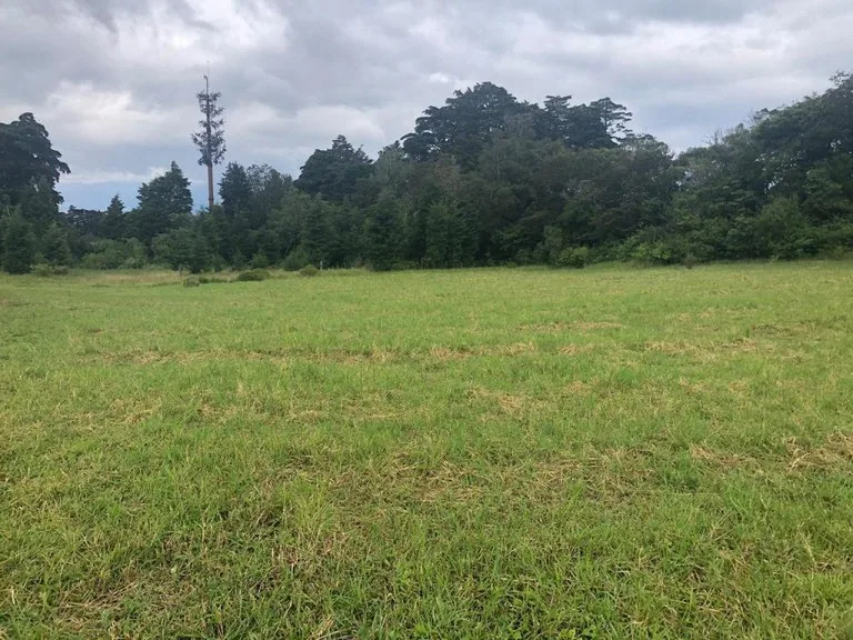 Horse ranch mountain farmland with its own stable`s in San Rafael, Heredia, photo 2