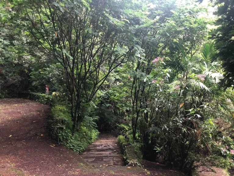 Horse ranch mountain farmland with its own stable`s in San Rafael, Heredia, photo 11