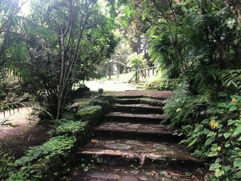Horse ranch mountain farmland with its own stable`s in San Rafael, Heredia, photo 12