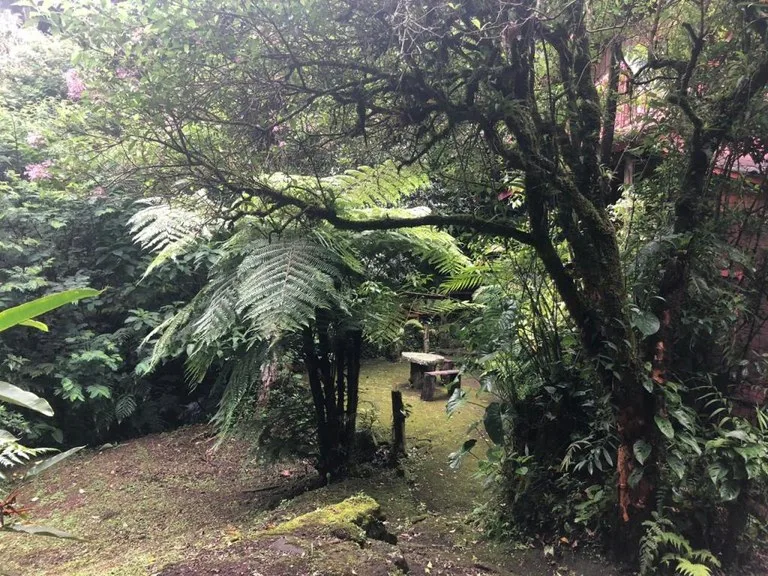 Horse ranch mountain farmland with its own stable`s in San Rafael, Heredia, photo 13