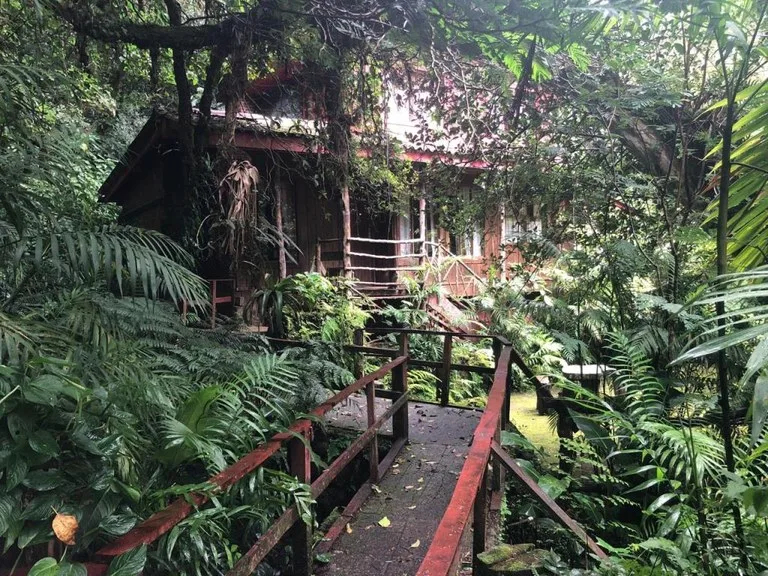 Horse ranch mountain farmland with its own stable`s in San Rafael, Heredia, photo 15