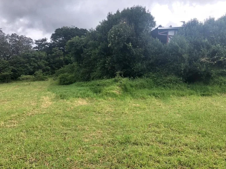 Horse ranch mountain farmland with its own stable`s in San Rafael, Heredia, photo 3