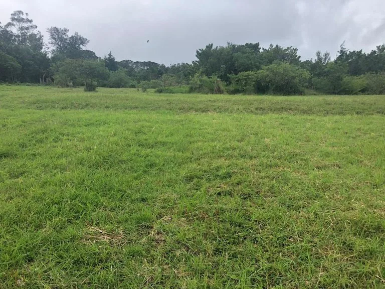 Horse ranch mountain farmland with its own stable`s in San Rafael, Heredia, photo 4