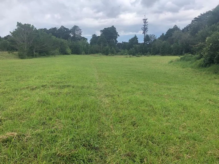 Horse ranch mountain farmland with its own stable`s in San Rafael, Heredia, photo 5