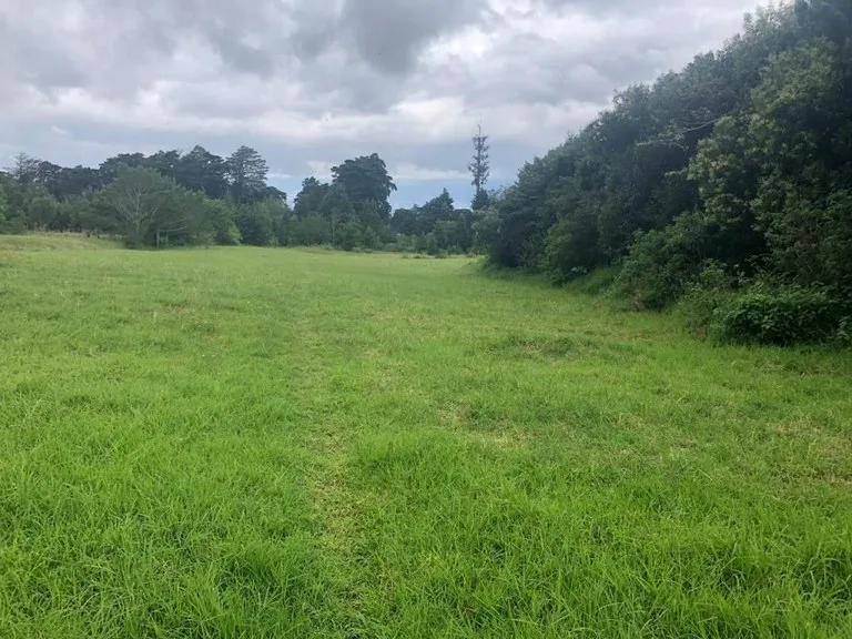 Horse ranch mountain farmland with its own stable`s in San Rafael, Heredia, photo 6