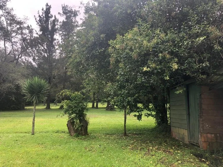 Horse ranch mountain farmland with its own stable`s in San Rafael, Heredia, photo 7
