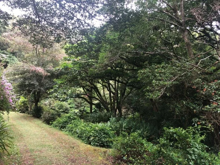 Horse ranch mountain farmland with its own stable`s in San Rafael, Heredia, photo 9