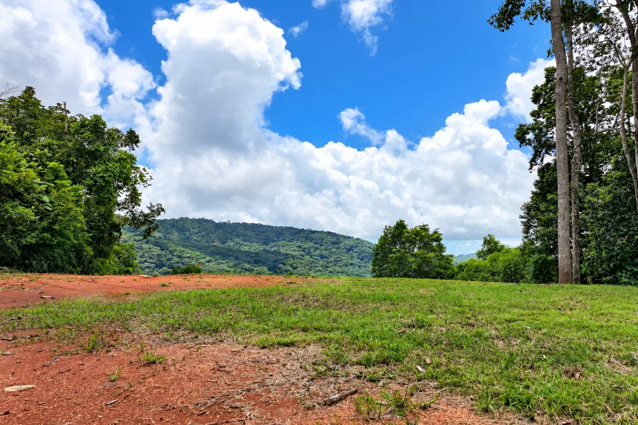 Brisas del Valle: 2,85 acres de vida tropical cerca de Dominical