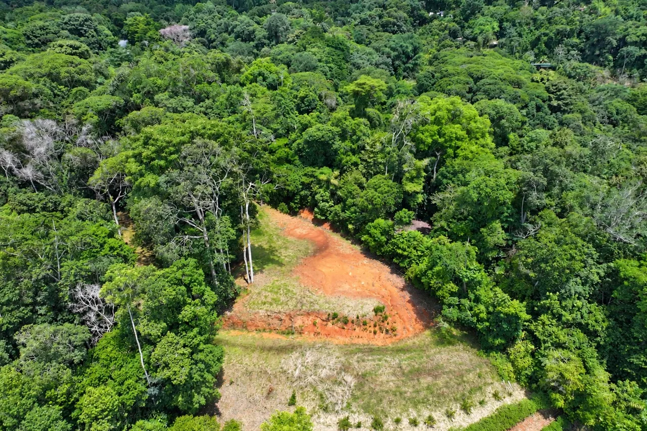 Brisas del Valle: 2,85 acres de vida tropical cerca de Dominical, photo 2
