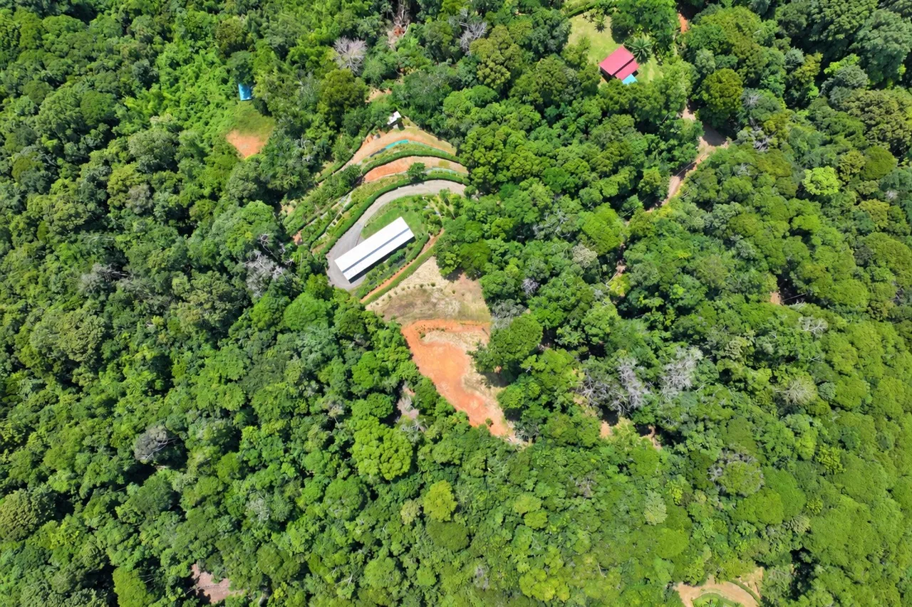 Brisas del Valle: 2,85 acres de vida tropical cerca de Dominical, photo 3