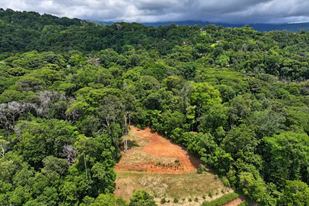 Brisas del Valle: 2,85 acres de vida tropical cerca de Dominical, photo 4