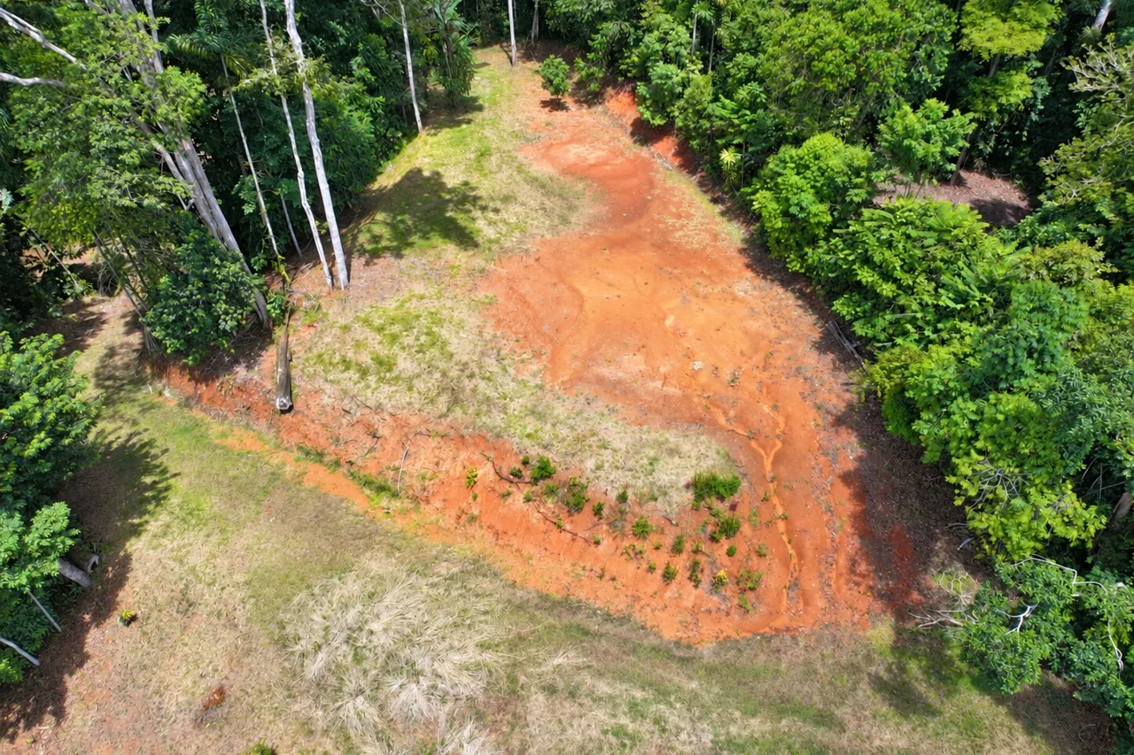 Brisas del Valle: 2,85 acres de vida tropical cerca de Dominical, photo 6