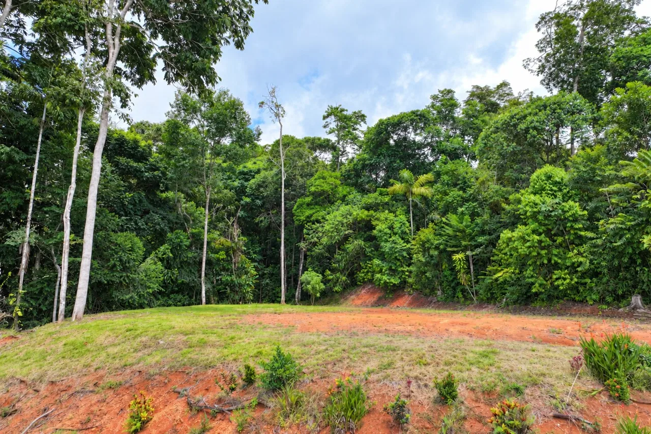 Brisas del Valle: 2,85 acres de vida tropical cerca de Dominical, photo 7