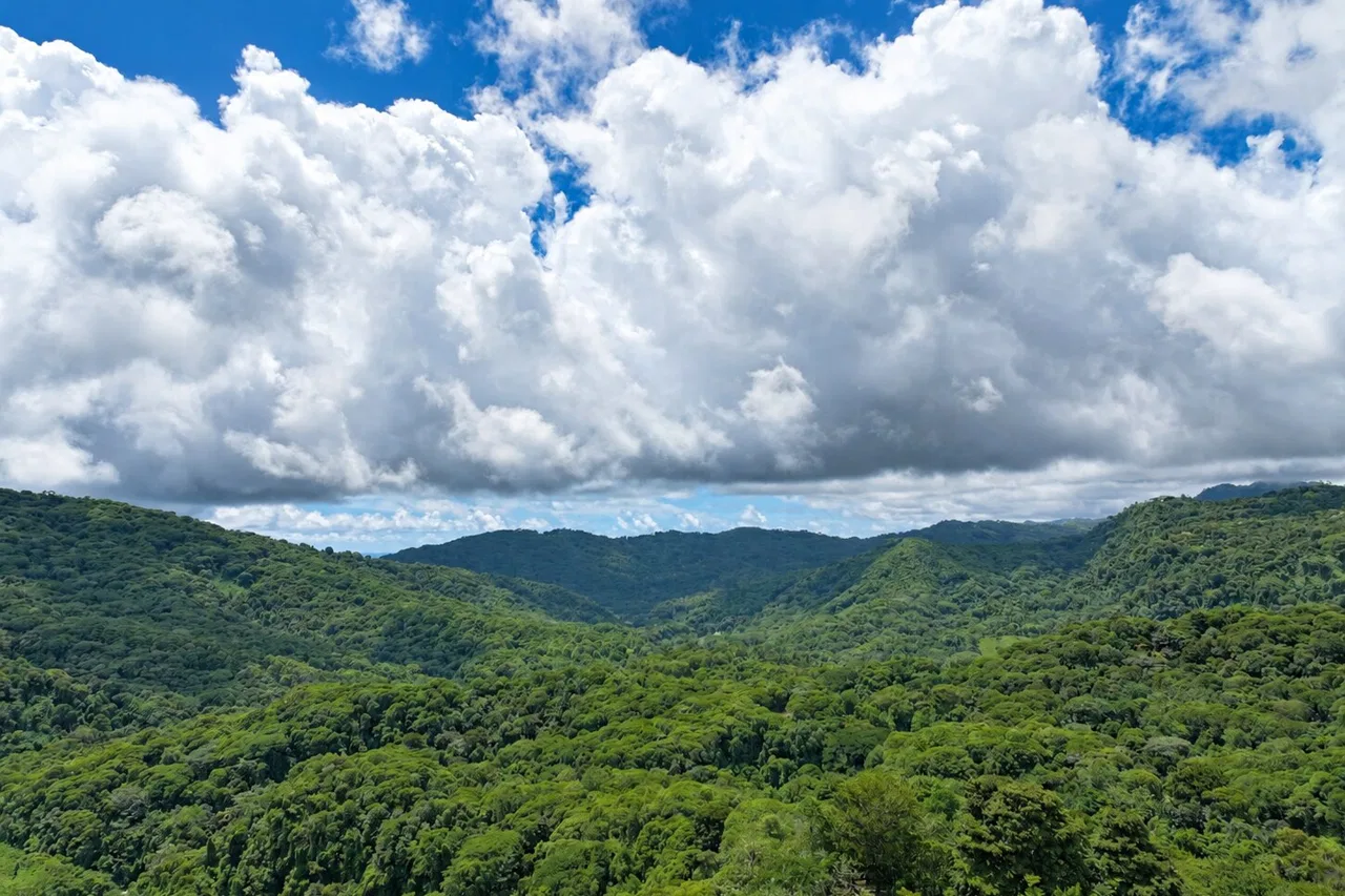Brisas del Valle: 2,85 acres de vida tropical cerca de Dominical, photo 8