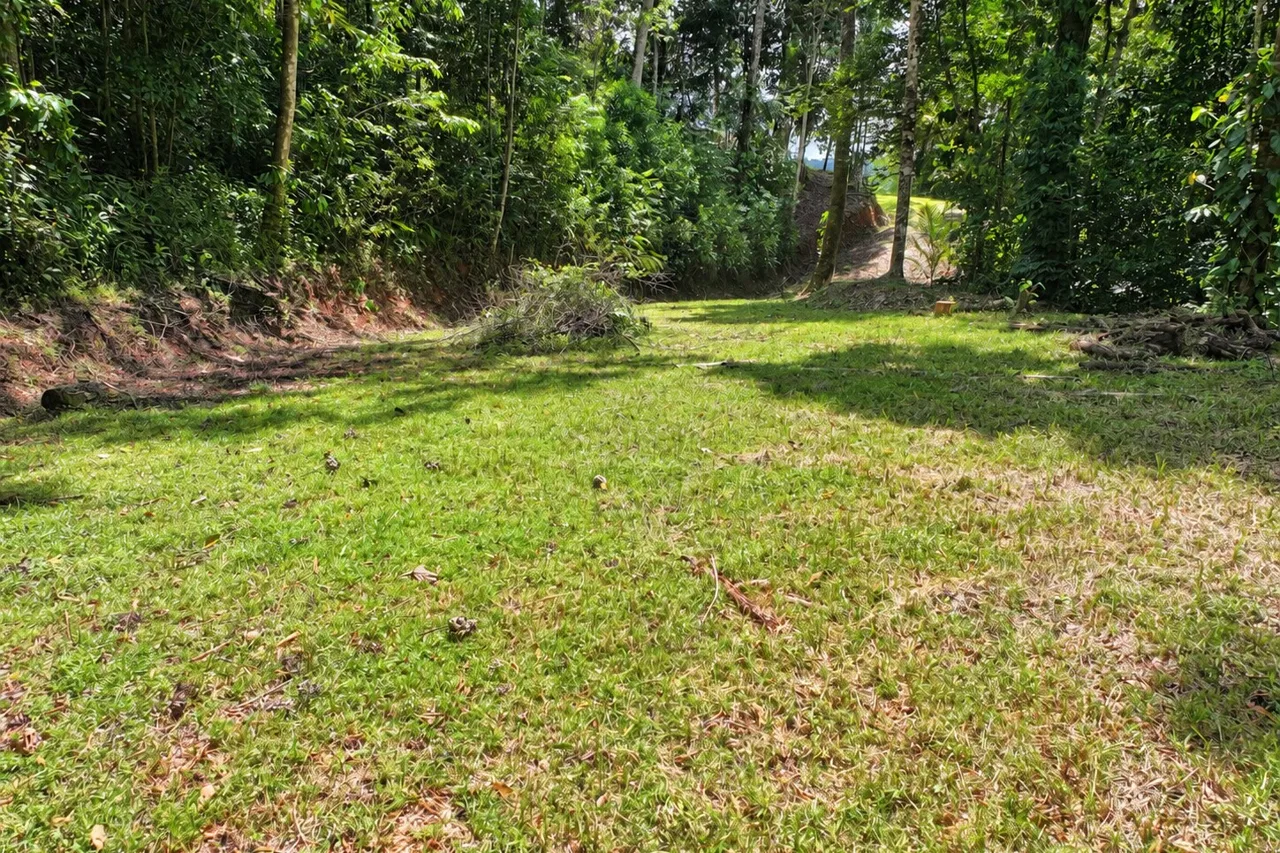 Brisas del Valle: 2,85 acres de vida tropical cerca de Dominical, photo 10