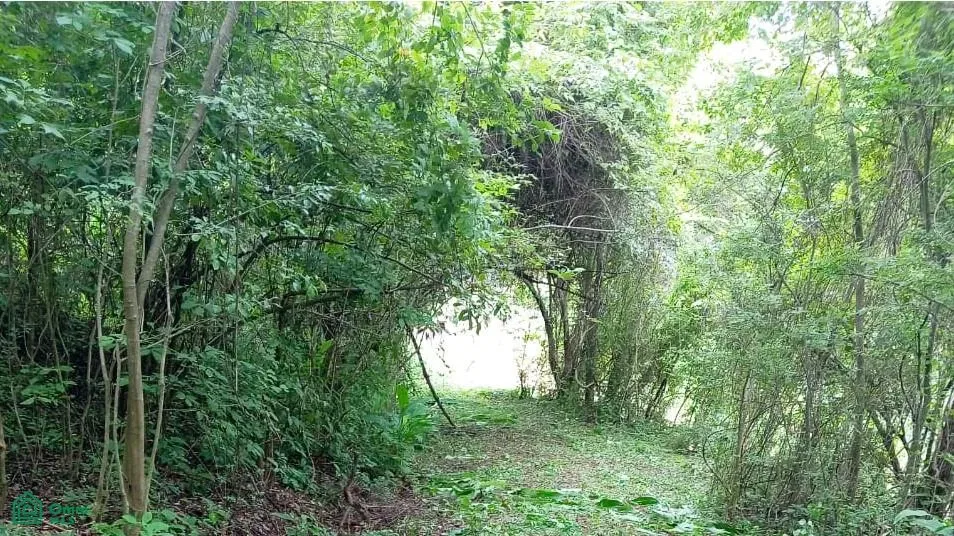 Pueblo Escondido, Lagunillas, Puntarenas 61102
