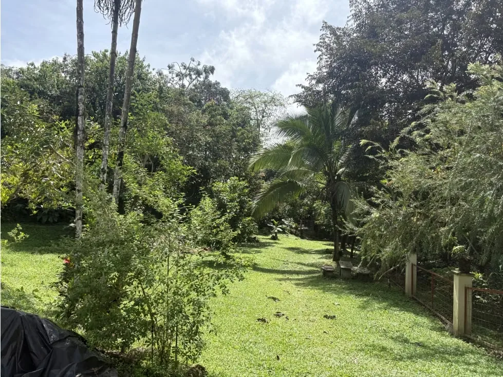 Locales en Venta en la Fortuna con 13 Propiedades 5PFB, photo 12