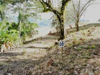 Lotes con vista al mar en Tres Ríos (Lote 66), photo 4