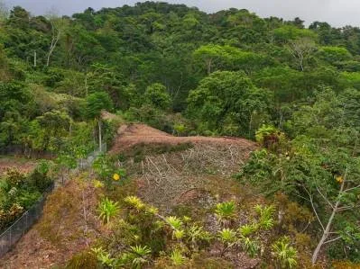 Ocean & Sunset View Lot for Sale in Ojochal, Costa Rica | 3,964 m² Ready-to-Build, photo 5