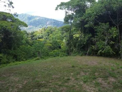 Tu refugio privado en la jungla a solo minutos de Dominical.
