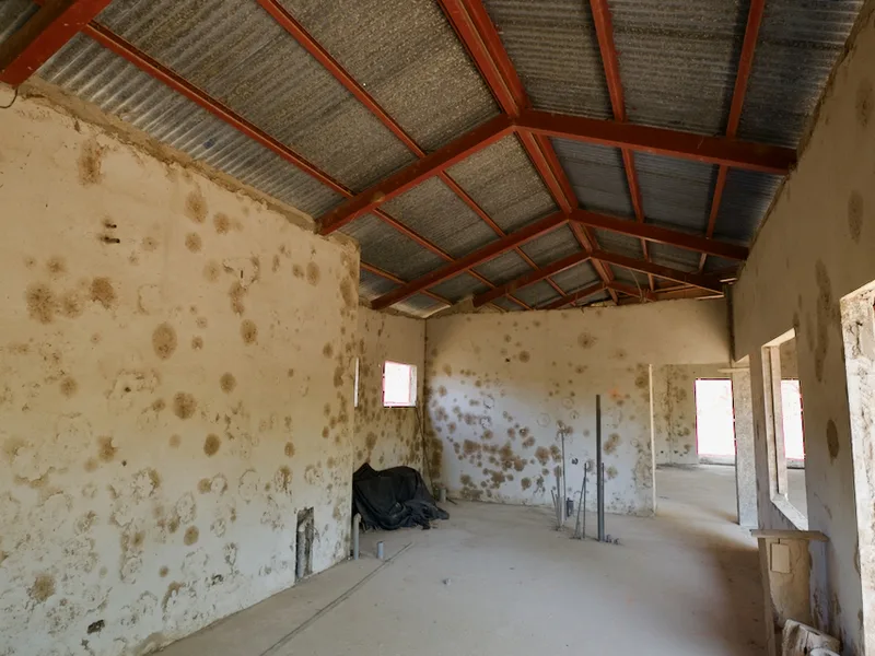 4 Bed Single Family Homes For Sale in Nosara, photo 9