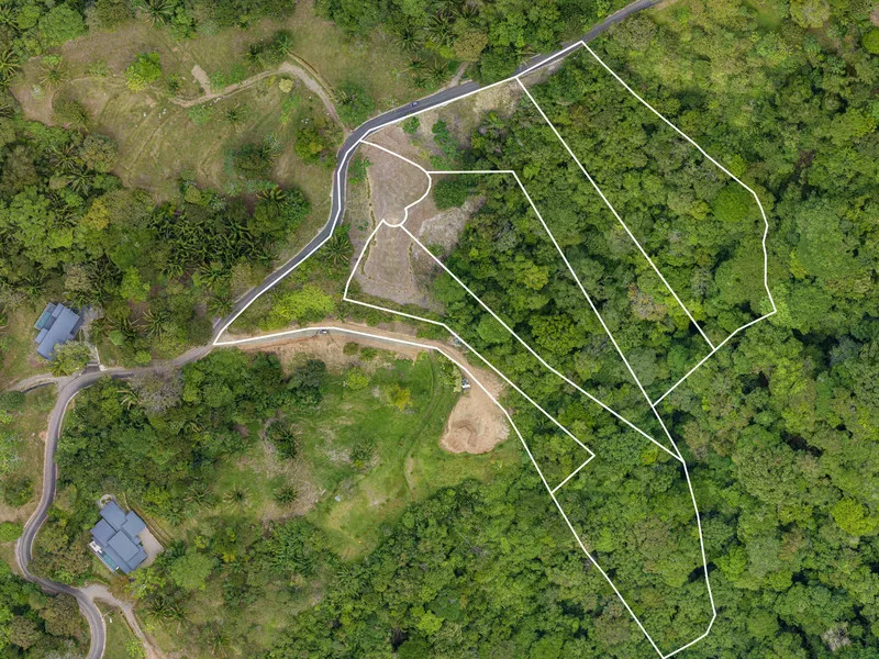 Land For Sale in Dominical, photo 2