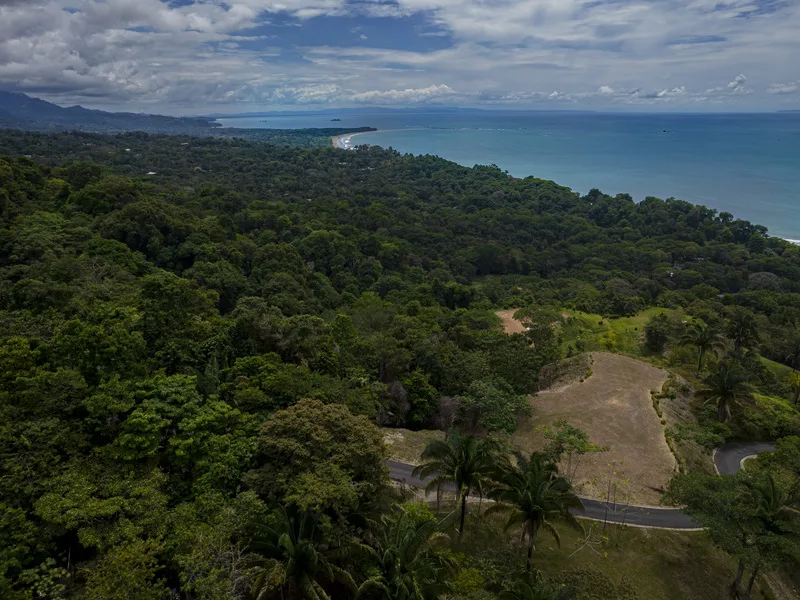 Land For Sale in Dominical, photo 12