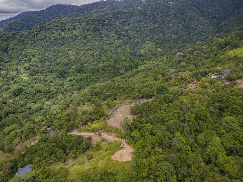Land For Sale in Dominical, photo 5