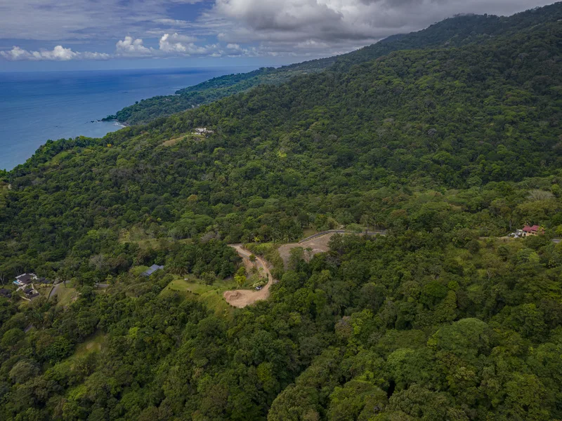 Land For Sale in Dominical, photo 6