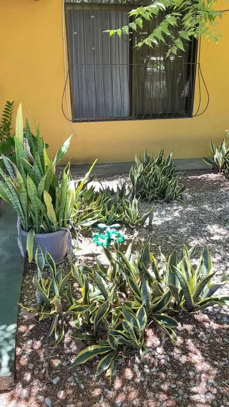 House for sale in Santa Cruz, Guanacaste, photo 6