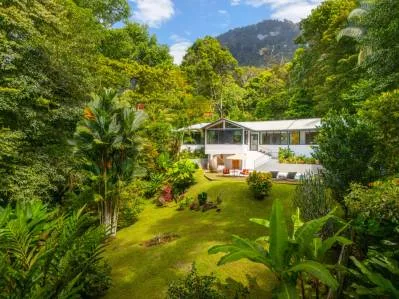 Paraíso moderno en la jungla, bordeado por un río, photo 3