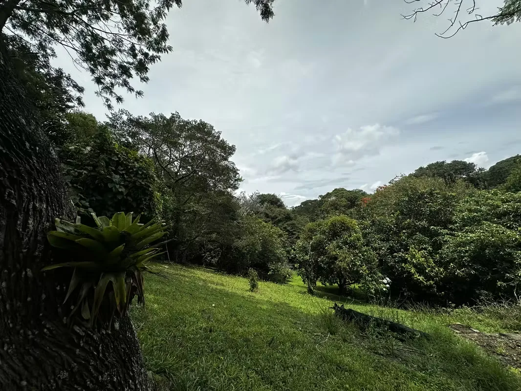Exclusiva Propiedad en Venta | 20.367 m² Monte de La Cruz en San Rafael de Heredia, photo 2