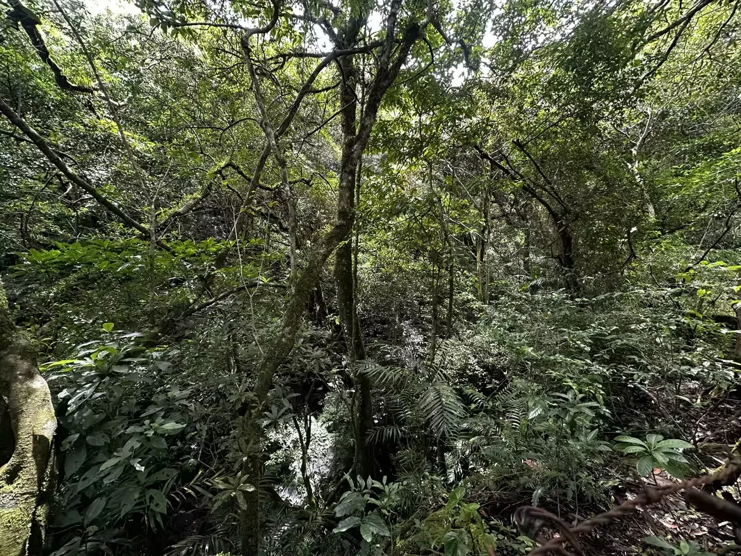 Exclusiva Propiedad en Venta | 20.367 m² Monte de La Cruz en San Rafael de Heredia, photo 15