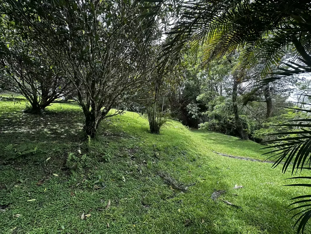 Exclusiva Propiedad en Venta | 20.367 m² Monte de La Cruz en San Rafael de Heredia, photo 16