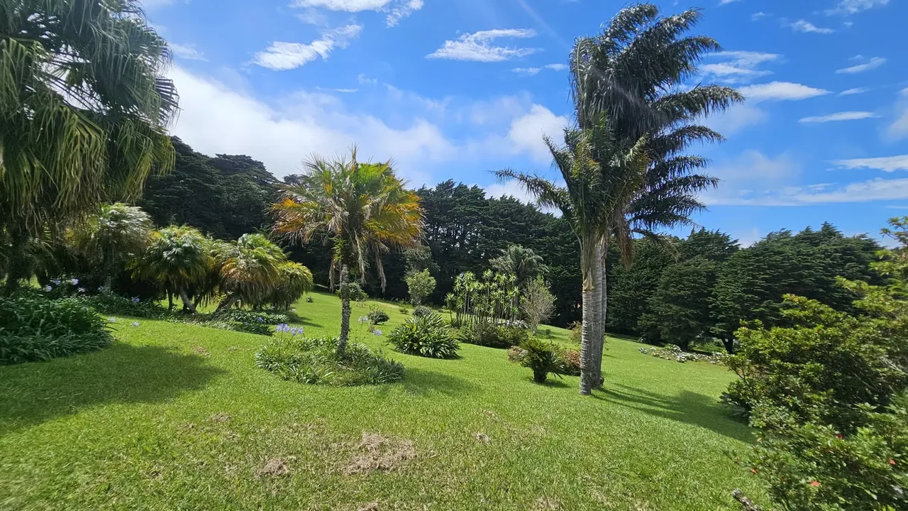 Exclusiva Propiedad en Venta | 20.367 m² Monte de La Cruz en San Rafael de Heredia, photo 5