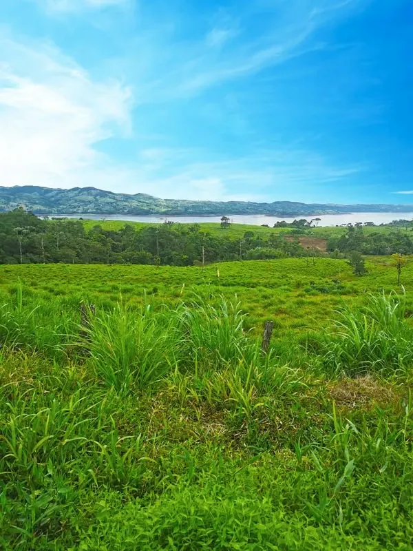 One-hectare Lot for Sale in Arenal, Tilarán, Guanacaste (MA).