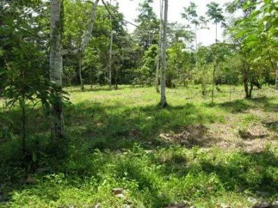 Lote Grande, photo 3