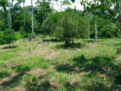 Lote Grande, photo 4