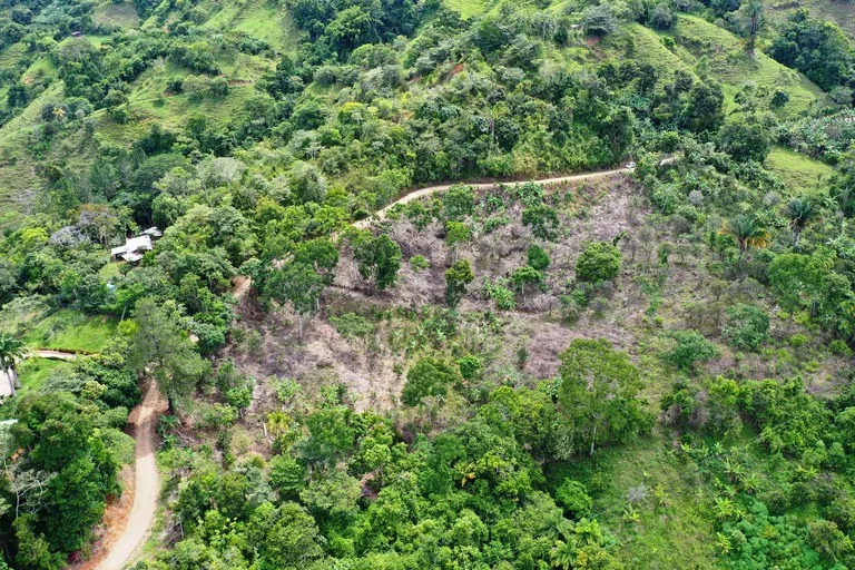 4.6 Acre Tropical Fruit Farm with Elevated Homesite & Valley Views San Isidro