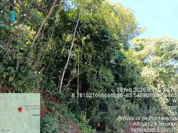 Finca en Sierpe, Osa (bien adjudicado)