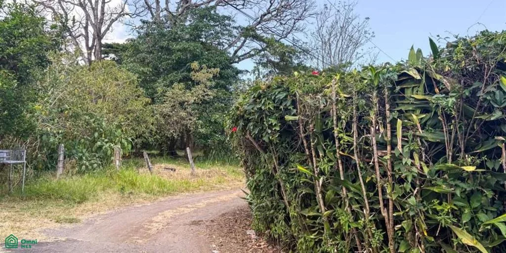 Amplio Lote de 8,548 m² en Venta en Santo Domingo de Heredia, photo 3