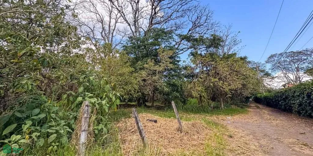 Amplio Lote de 8,548 m² en Venta en Santo Domingo de Heredia, photo 4