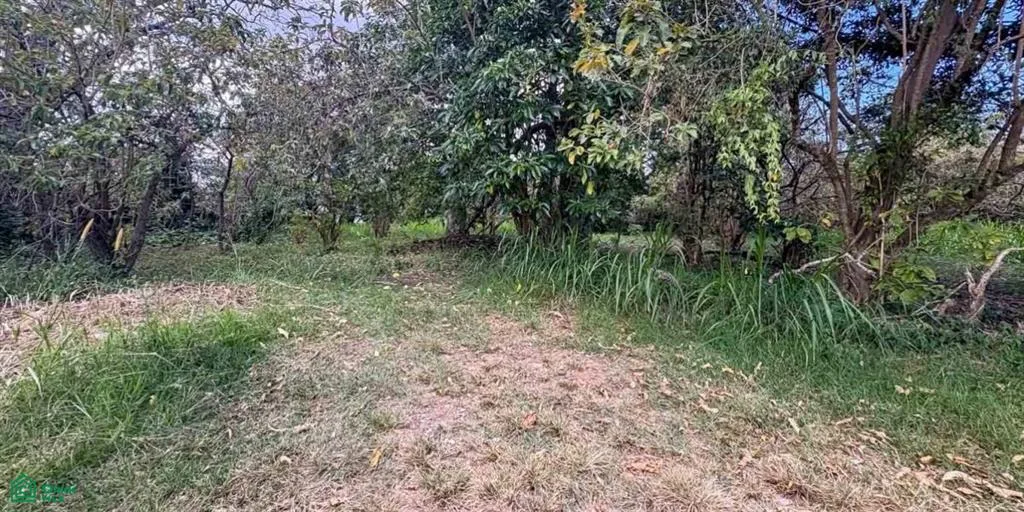 Amplio Lote de 8,548 m² en Venta en Santo Domingo de Heredia, photo 5