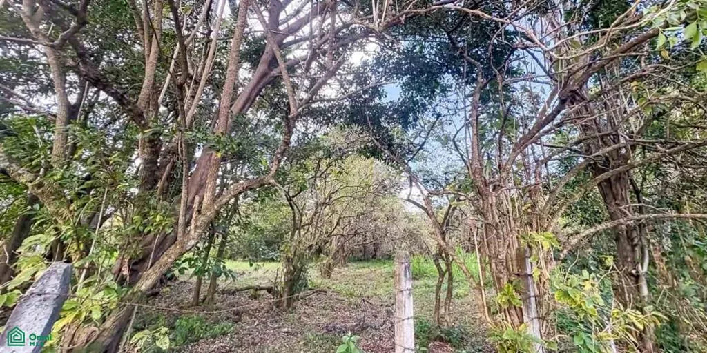 Amplio Lote de 8,548 m² en Venta en Santo Domingo de Heredia, photo 6