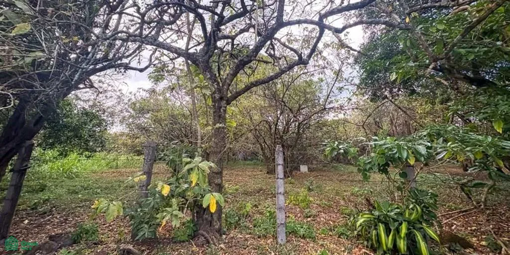 Amplio Lote de 8,548 m² en Venta en Santo Domingo de Heredia, photo 7